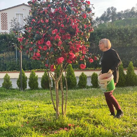 Casa Isabelle Lägenhet Canneto  Exteriör bild