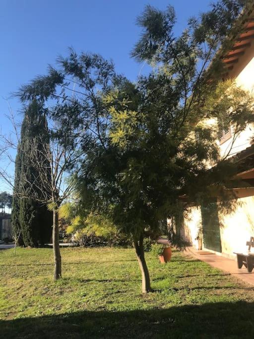 Casa Isabelle Lägenhet Canneto  Exteriör bild