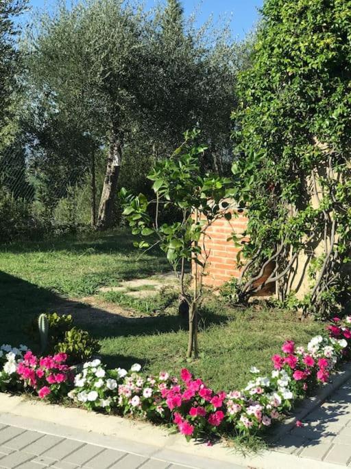 Casa Isabelle Lägenhet Canneto  Exteriör bild
