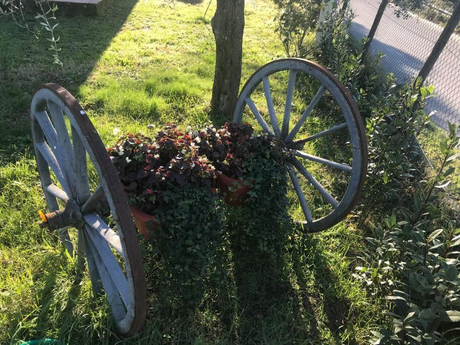 Casa Isabelle Lägenhet Canneto  Exteriör bild