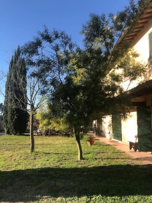 Casa Isabelle Lägenhet Canneto  Exteriör bild